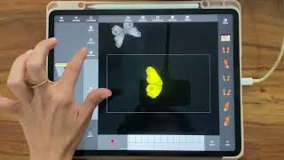 Shortcuts Tagtool 1 Cat