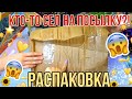 Комнатные растения.ЕЩЁ ОДИН ОБМЕН!?РАСПАКОВКА ПОСЫЛКИ ПО ОБМЕНУ \КТО-ТО СЕЛ НА КОРОБКУ С ЦВЕТАМИ!?