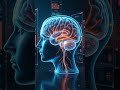 Algorithm Wars: How Platforms Compete to Keep Your Attention. Please like, follow and subscribe f...
