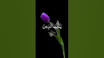 إنَّ اللَّهَ وَمَلَائِكَتَهُ يُصَلُّونَ عَلَى النَّبِيَّ - تلاوة "سورة الأحزاب #islamicvideo