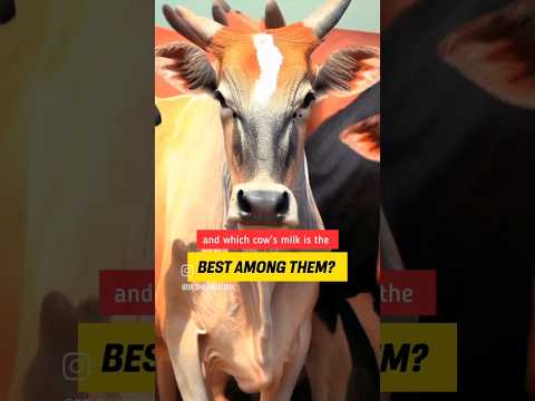 वीडियो: कौन सा दूध स्वास्थ्यप्रद है?