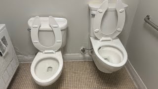 Strangest Bathroom Reshoot (2 toilets)