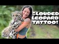Leopard TATTOO at the ZOO!
