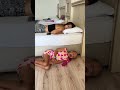 Silly daughter by Secret Vlog