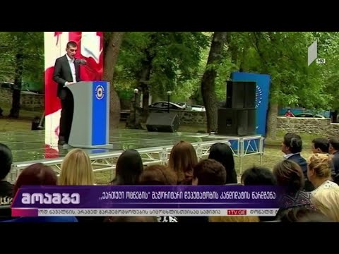 „ქართული ოცნების“ მაჟორიტარი კანდიდატის წარდგენა