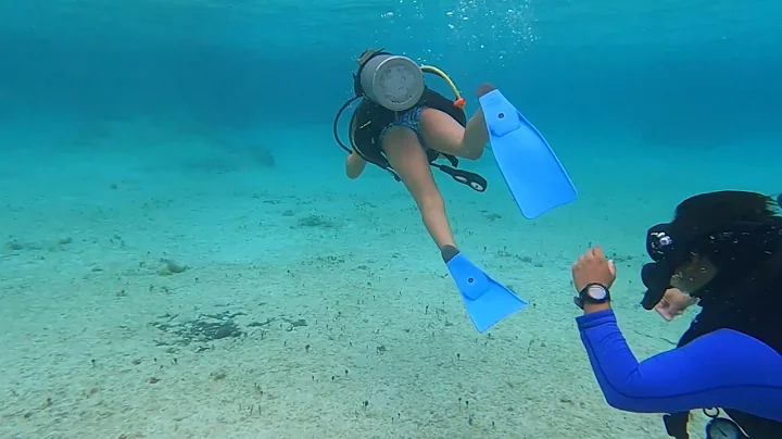 Cozumel Scuba