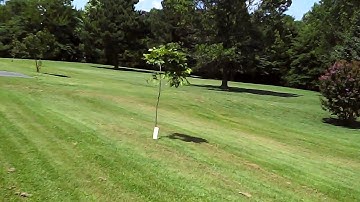 Syma X8C Venture 2MP Stock Camera Footage (SHORT)