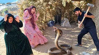 Cobra Enters Homeless Couple’s Home, Police’s Reaction Shocks Everyone