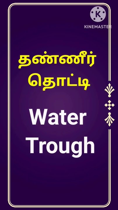 In English Water Through In Tamil Trough Meaning In in-english-water-through-in-tamil-trough-meaning-in
