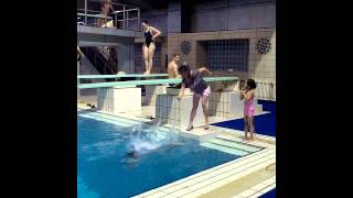 Chinese Diving Lesson......is This How He Chong, He Zi And Qui Bo Started????