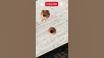 Countersink in Wood Hack | How to Countersink Wood Screws   #shorts
