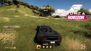 Forza Horizon 5 - Much Wow Such Distance accolade
