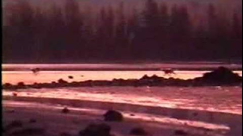 "Homeward Bound" Tribute Video