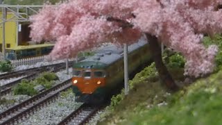 Ｎゲージ 東海道線 113系2000番台 走行シーン集