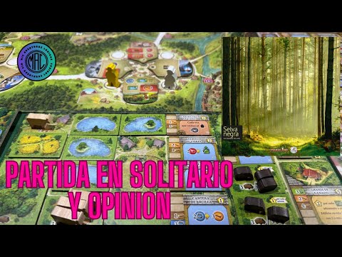 Partida En Solitario