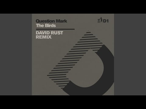 Question Mark — The Birds (David Rust Extended Remix - D1)