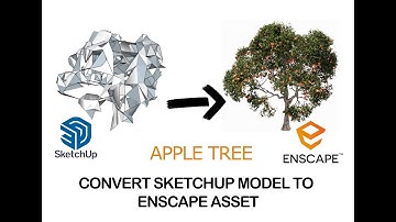 Convert Apple tree  SketchUp Model to Enscape Asset