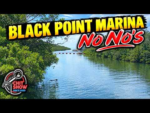 Hit a Curb and Went Swimming at Black Point ! Make it Make Sense ! (Chit Show)