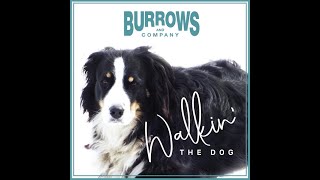 Burrows And Company ... Walkin' The Dog ... Live