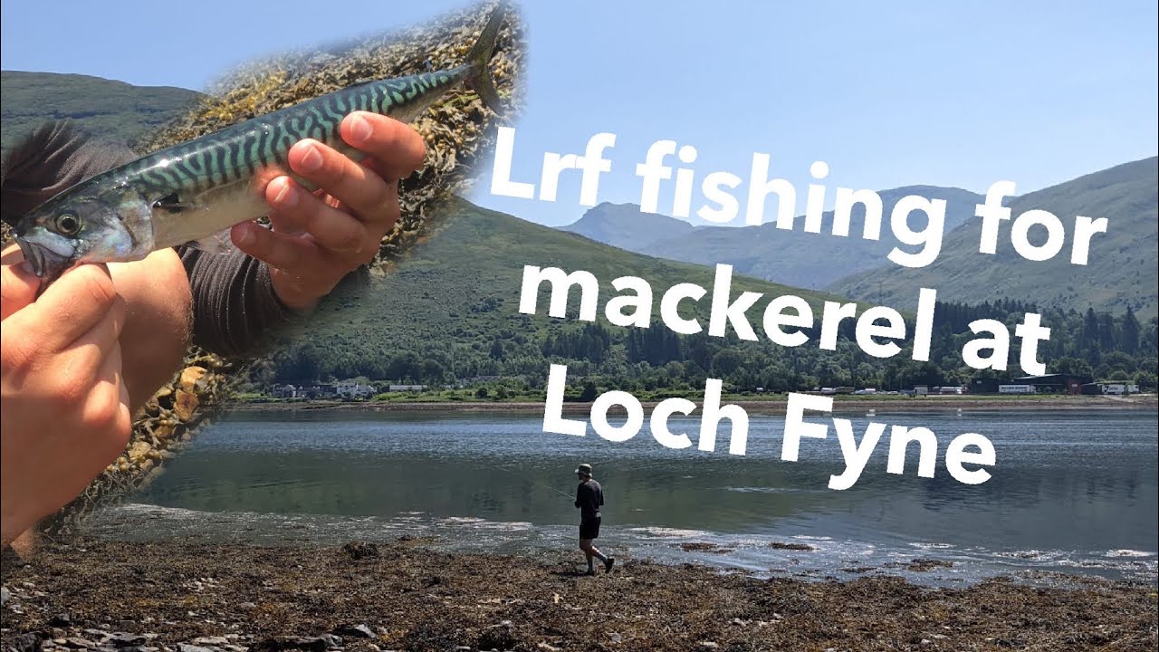 Lrf fishing at Loch Fyne sea fishing uk Mackerel fishing uk Loch Fyne fishing YouTube