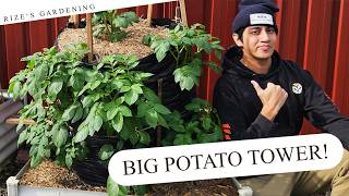 BIG Potato Tower Set Up! (Planting my 2026 Potatoes, part 2/2)