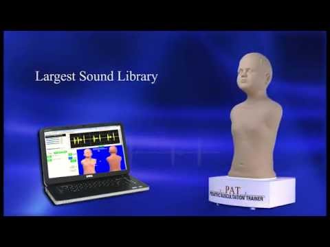 PAT, the Pediatric Auscultation Trainer