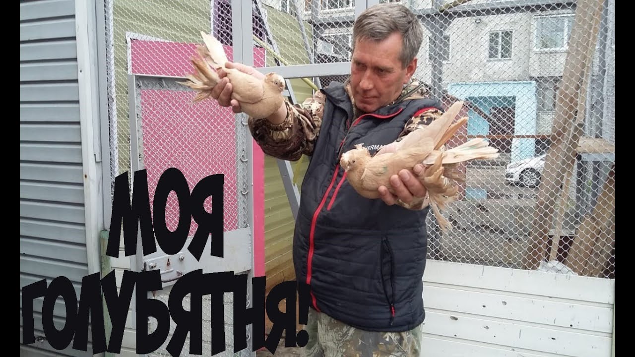Почему волги гниют