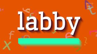 How To Say Labby High Quality Voices