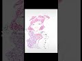 ダークドリーム大好き… #プリキュア#プリキュア5#イラスト動画 #ダークドリーム