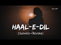 Haal E Dil Slowed Reverb Neeti Mohan Himesh Reshammiya Sanam Teri Kasam SR Lofi