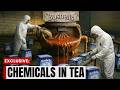 Never Buy These 10 Tea Brands in Australia (Number 4 Is Worse Than You Think)