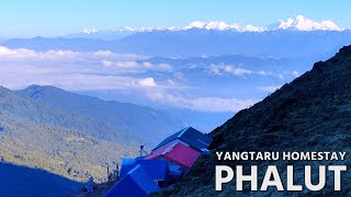 Yangtaru Homestaygothstay - Phalut 15-10-2024 , ,