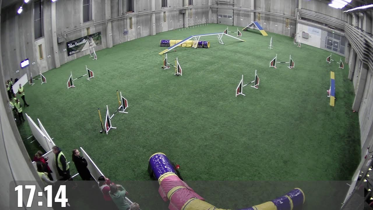 I-HAH Livestream - Marraskisat 29.11.2025