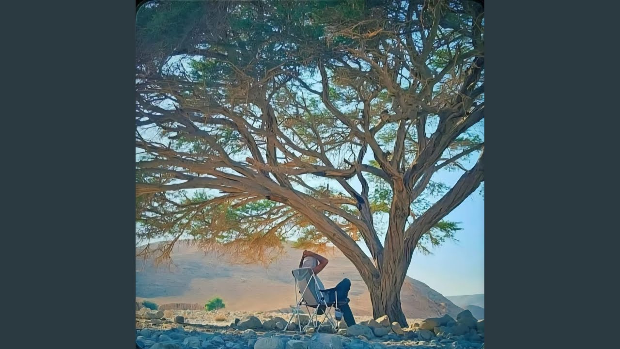 Flutter By adlı videoyu YouTube'da izle Flutter By adlı videoyu YouTube'da izle