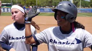 NSU Sharks Athletics | Social Media Promotional Ad