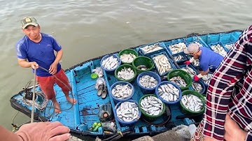 Cảng Cá Phan Rí Cửa tỉnh Bình Thuận Tấp Nập Ghe Thúng Chất Đầy Hải Sản Tươi Ngon Cập Bến