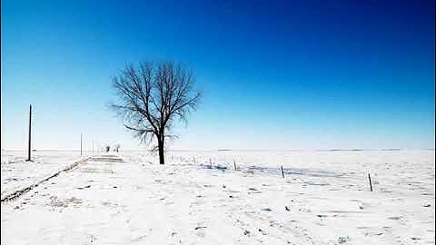 القارئ : شيرزاد طاهر - سورة السجدة