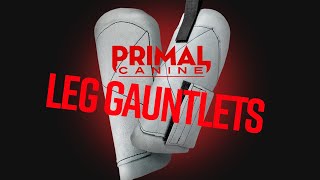Primal Canine Decoy Thigh & Calf Gauntlets by Ray Allen Manufacturing 347 views 3 months ago 2 minutes, 57 seconds