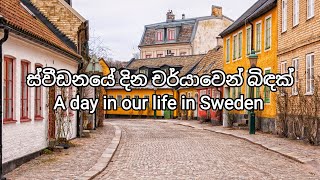 ස්වීඩනයේ දින චර්යාවෙන් බිඳක් 🇸🇪 A day in our life in Sweden | Lankan Sweden vlog 🇱🇰🇸🇪