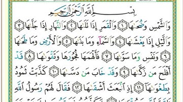 تلاوة من صلاة العشاء في جامع القبلتين   ١٤ربيع أول١٤٤٢ سورة الشمس+سورة الليل الشيخ محمد سليم الأحمدي