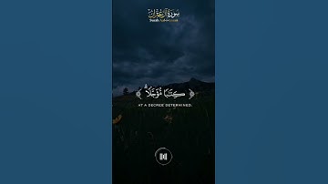 تلاوة مبكية للقارئ يوسف الصقير من سورة آل عمران ( وما كان لنفس أن تموت إلا بإذن الله )🌹