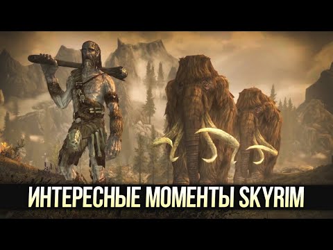 Видео: Skyrim Секреты и Интересные Моменты Упущенные игроками из виду