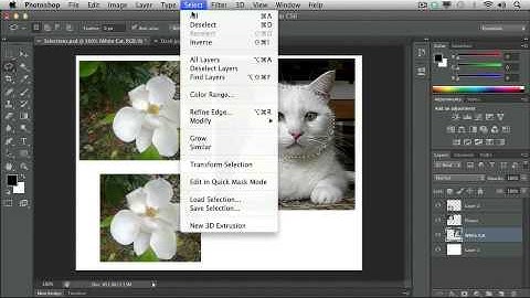 Adobe CS6 Design Web Workflow 2012 Raster Image Editing with Photoshop 04  Making Selections
