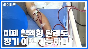 혈액형 달라도, 항체 반응 커도 장기 이식 가능 / YTN