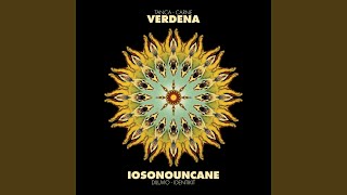 Video thumbnail of "Verdena - Carne"