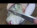 猛毒の魚・白子食べたら過去一美味しかった。How to prepare large fish