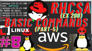 Basic Commands in Linux PART-5 | RHCSA |Part-8 | Practice in RHEL8 on AWS | Devops & Developer tool