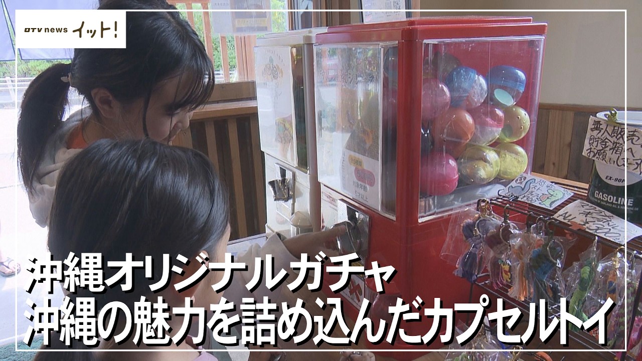 Okinawa Original Gacha: Capsule toys packed with the charm of