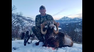 France Alpes hunting Muflon with bow by Seladang