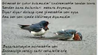 Cantanem Y&A